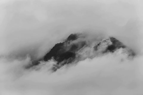 Portfolio image and text 5.jpg